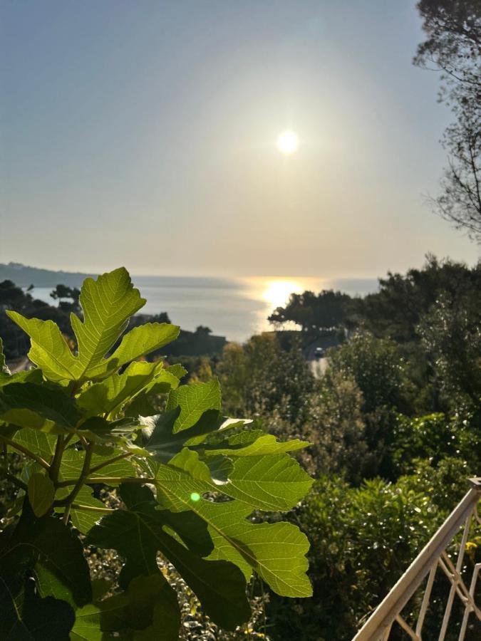 Limonaia In Salento Villa Marittima Kültér fotó