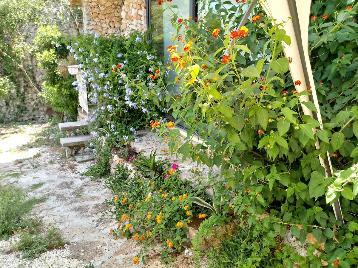 Limonaia In Salento Villa Marittima Kültér fotó